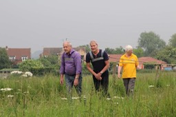 History Club Canal Boat Pull June 2016 - 17